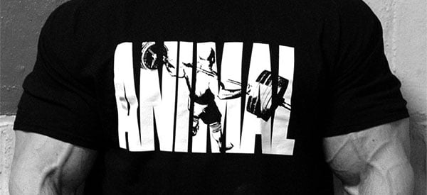 Animal release two new tops, the Raglan T and Raw Unity shirt Animal release two new tops, the Raglan T and Raw Unity shirt