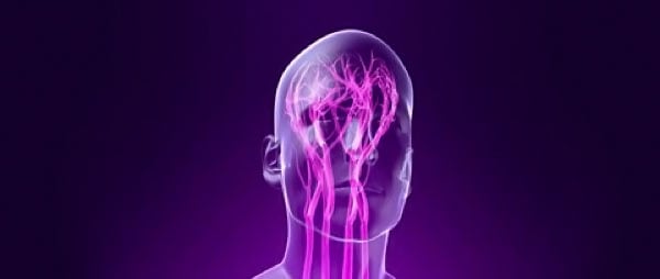 Hybrid Nutrition reveal their fifth the focus powered pump formula NeuroPump Hybrid Nutrition reveal their fifth the focus powered pump formula NeuroPump