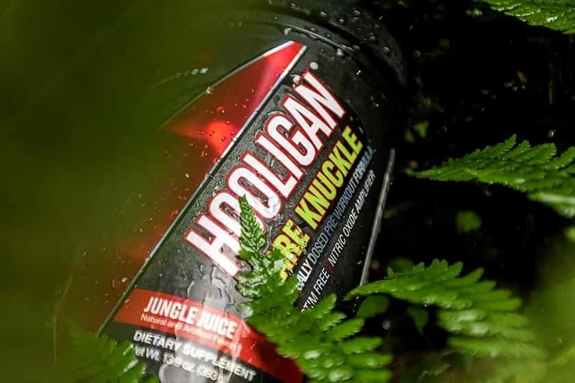 apollon nutrition bare knuckle v4