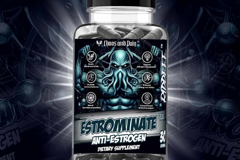 Chaos And Pain Estrominate