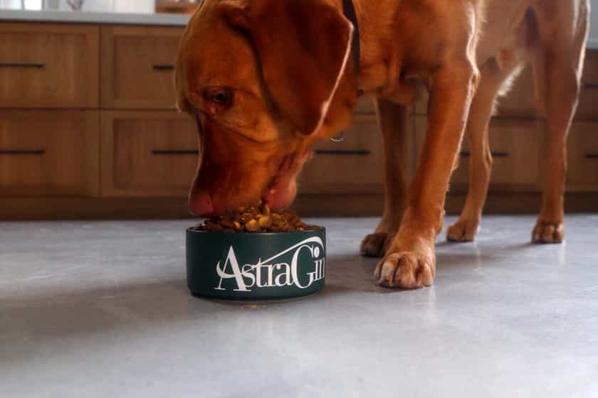 Nuliv Science Pushes Into Pet Supplements