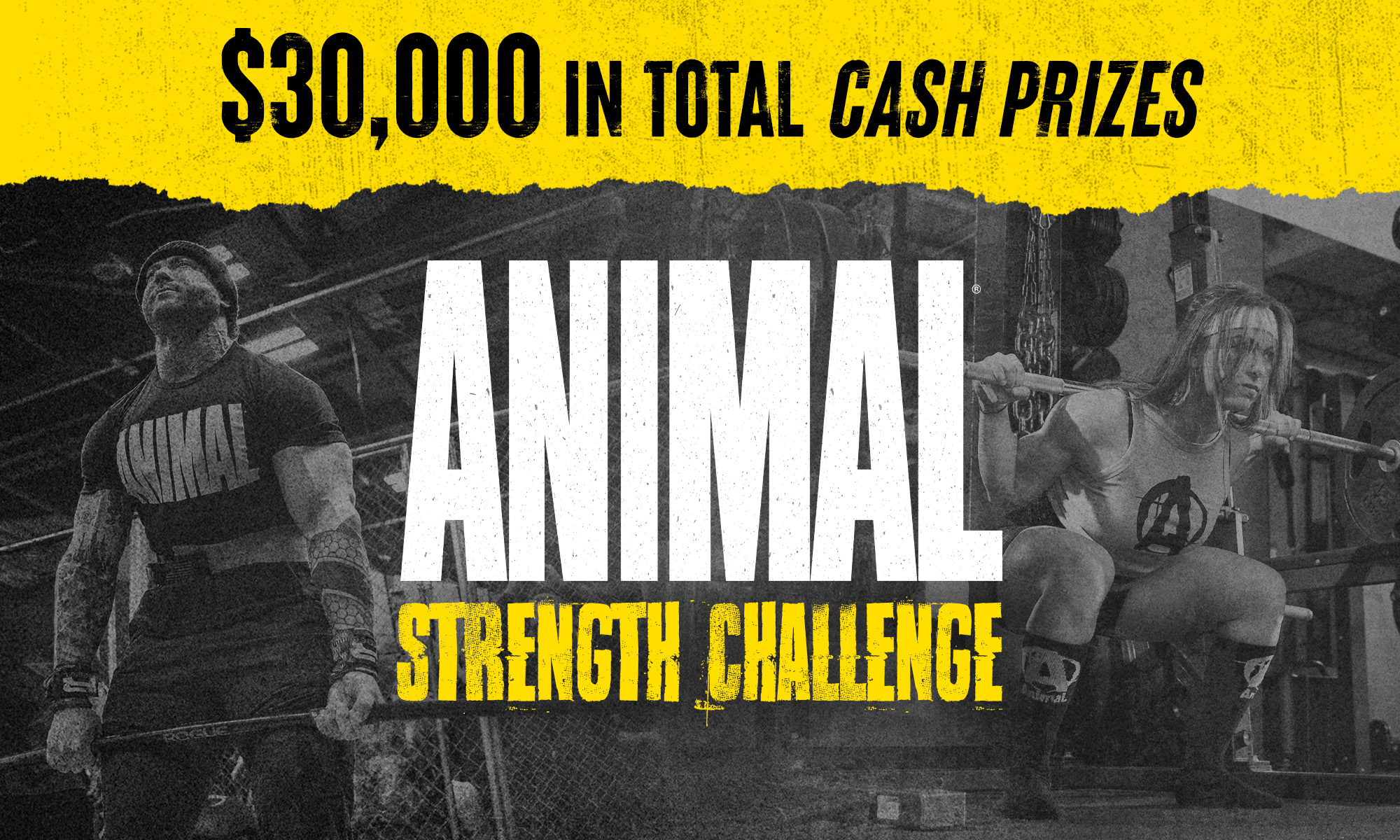 Updated_AnimalStrengthChallenge_Desktop 1