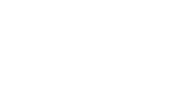 wordmark white