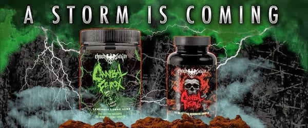 Chaos and Pain mention a few new supplements currently in the works