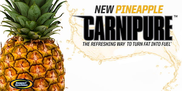 Gaspari relaese another exclusive for Bodybuilding.com with pineapple Carnipure