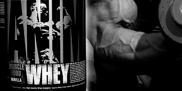 animal whey