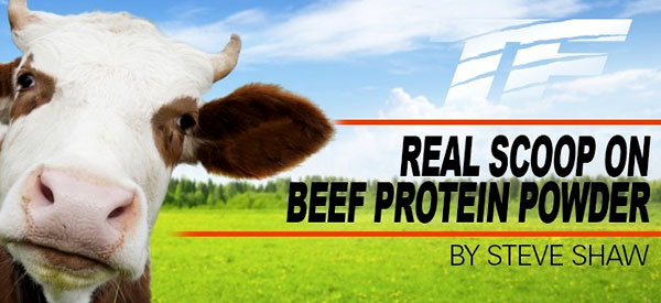 Steve Shaw explains why you may want to think twice about beef protein