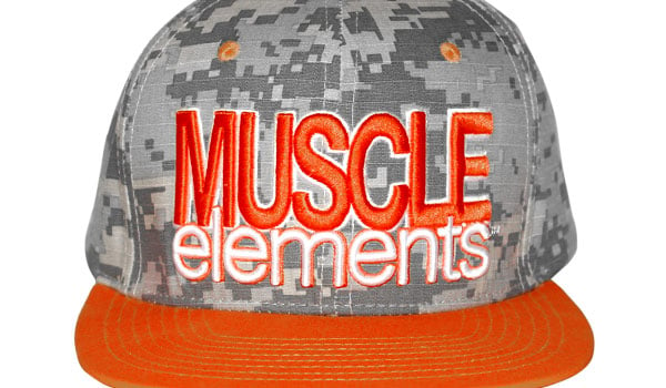 muscle elements