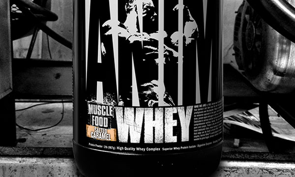 salted caramel animal whey