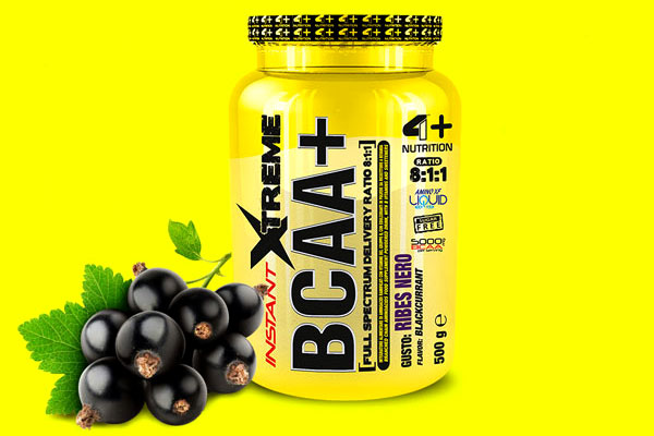 Blackcurrant Instant Xtreme BCAA