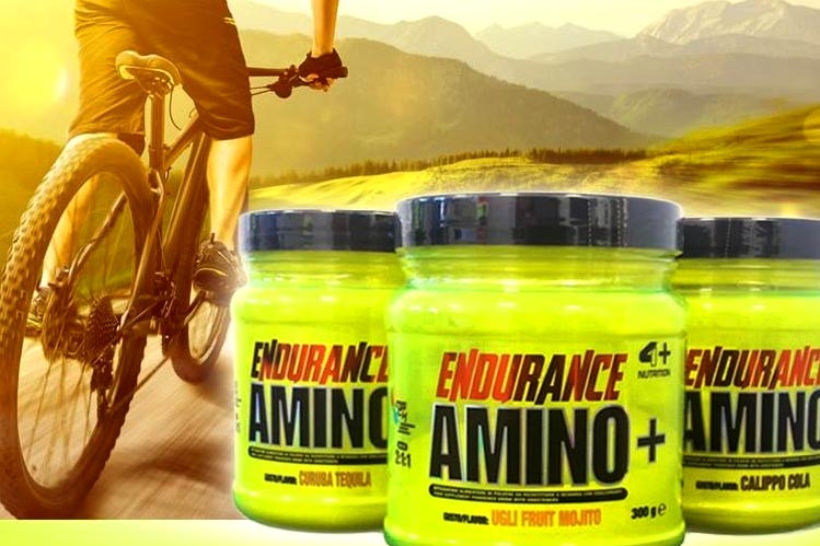 Endurance Amino