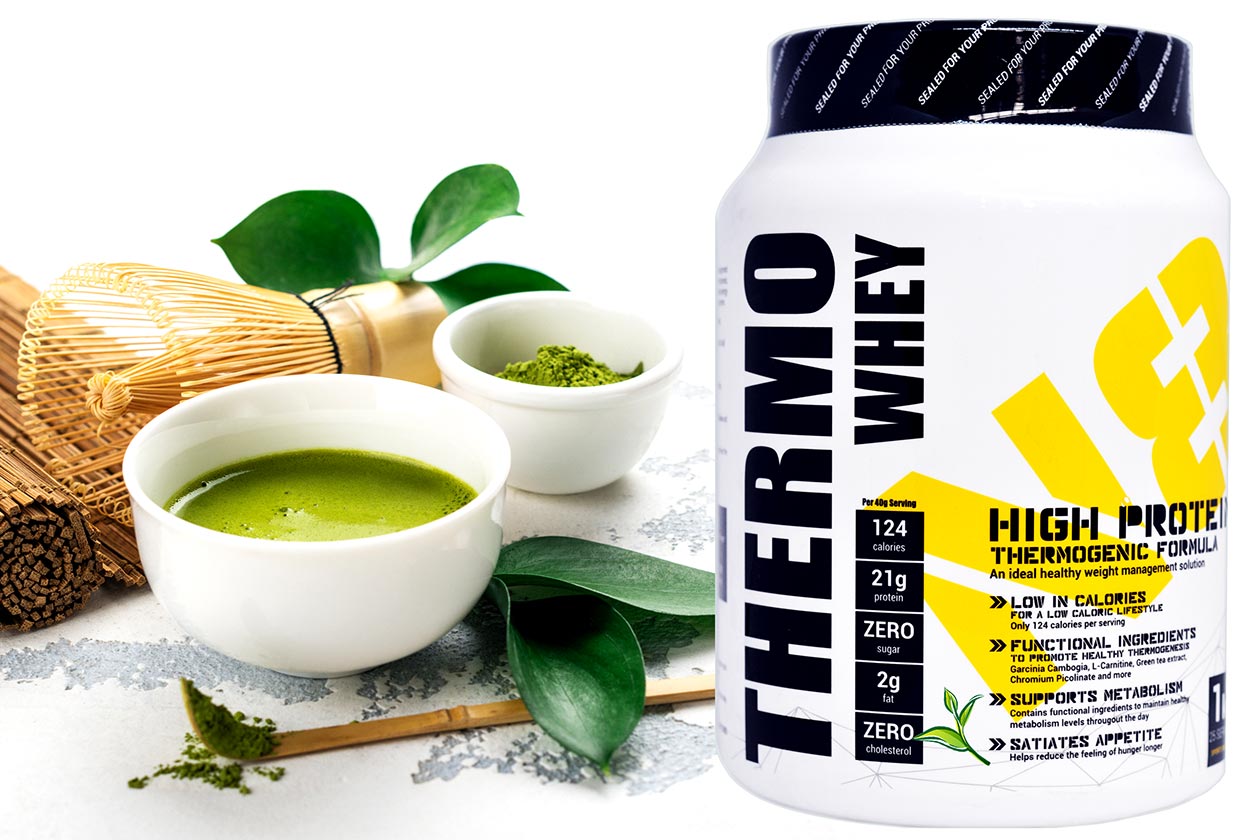 https://www.stack3d.com/wp-content/uploads/2018/05/green-tea-thermo-way.jpg