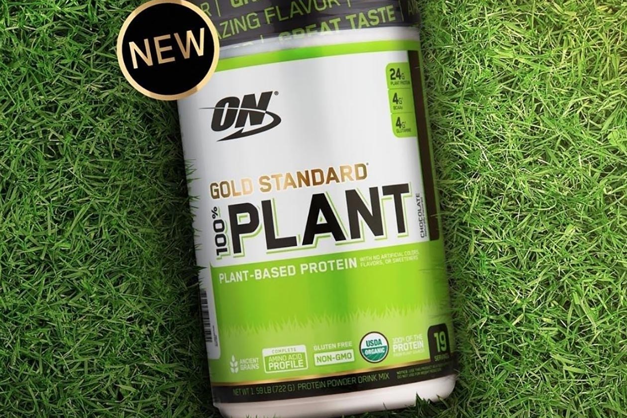 gold standard plant protein