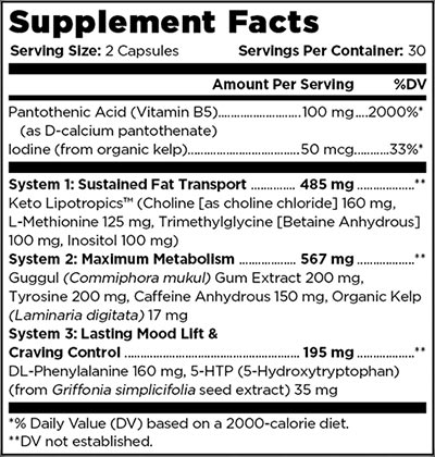 old school labs real keto fat burner