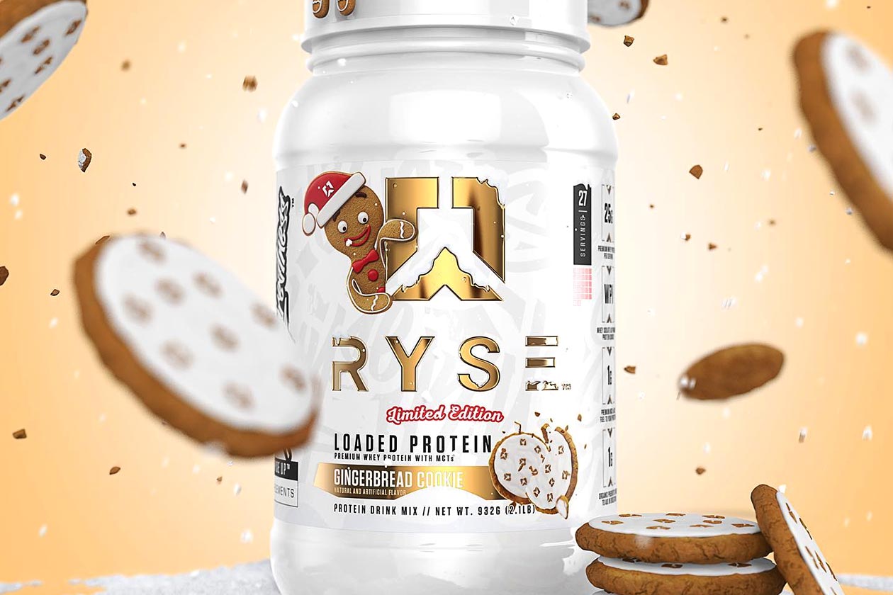 https://www.stack3d.com/wp-content/uploads/2022/11/ryse-gingerbread-cookie-loaded-protein.jpg