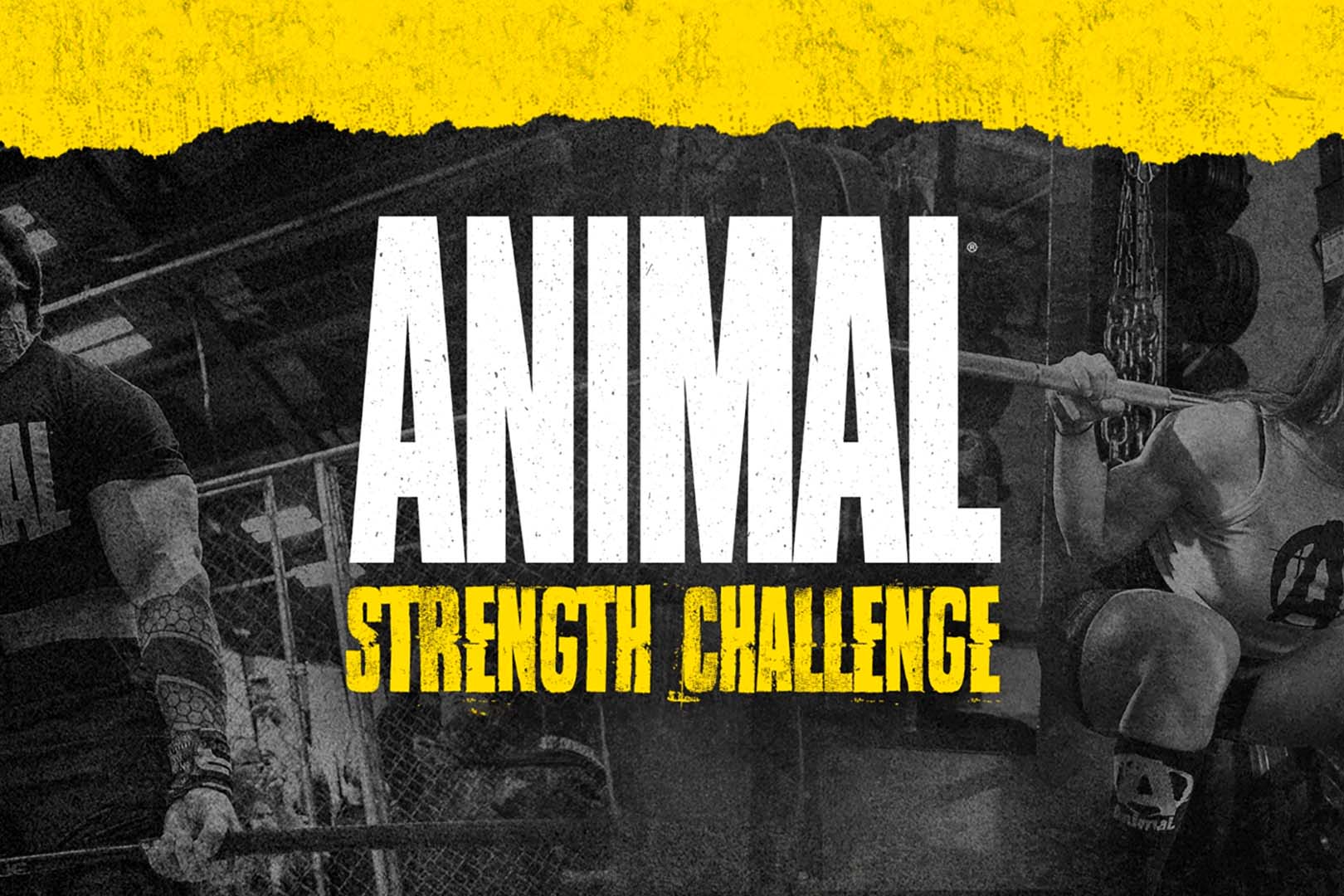 Animal Strength Challenge