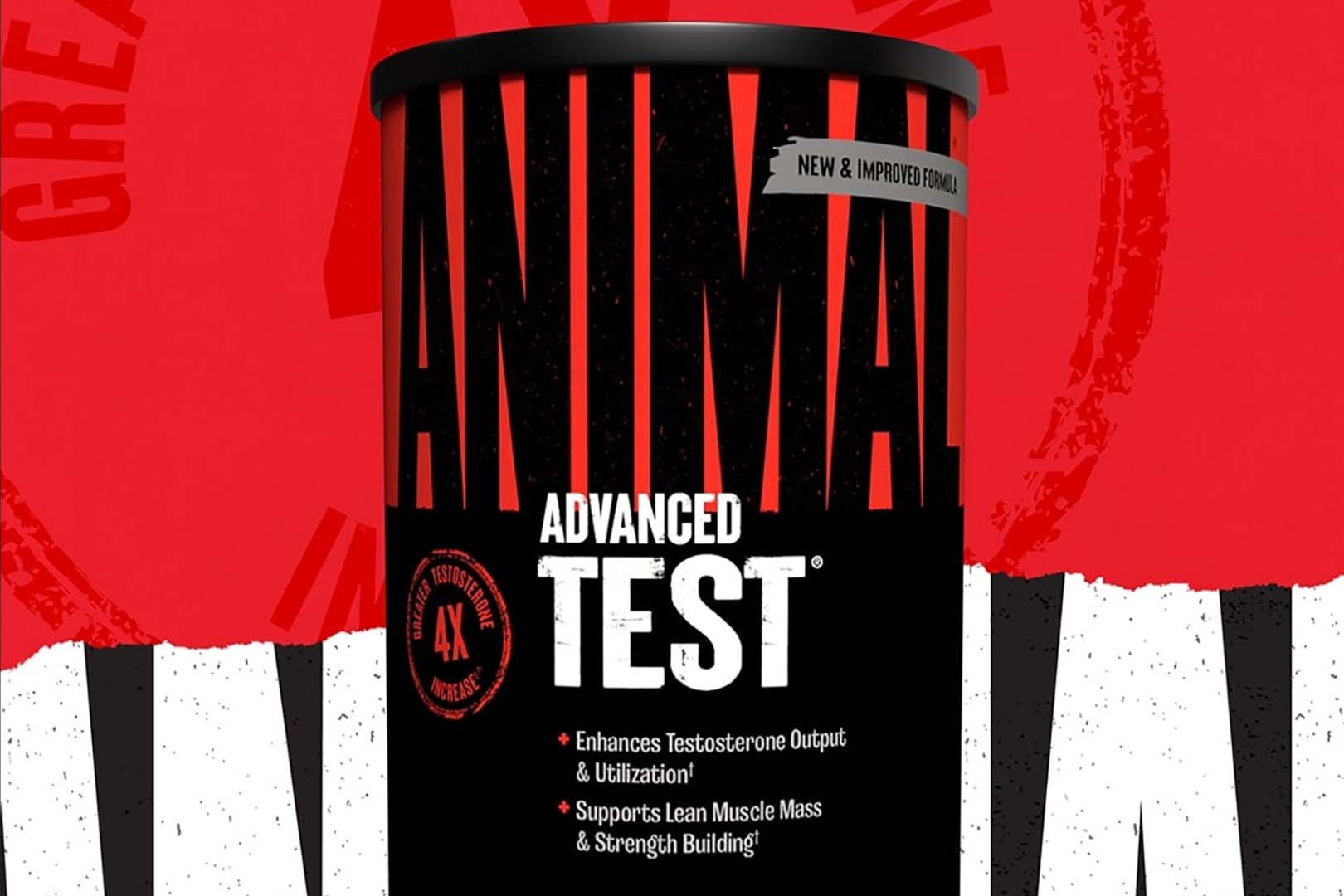 Animal Test 2024