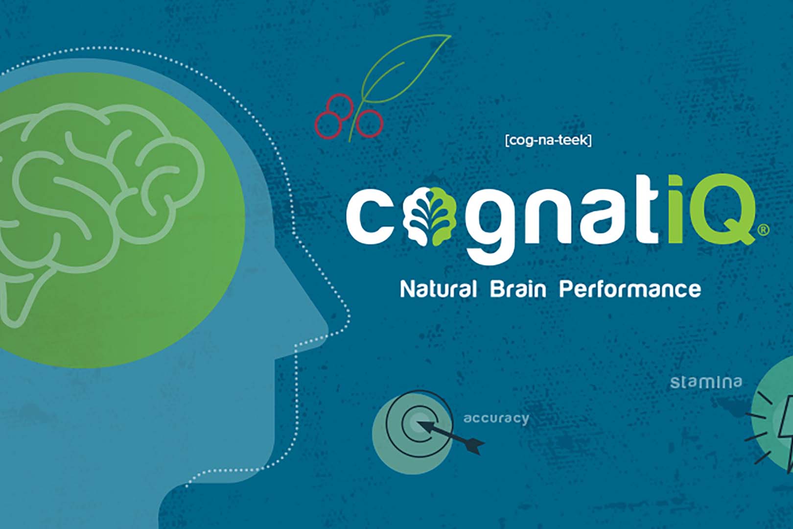 Cognatiq At Home Study