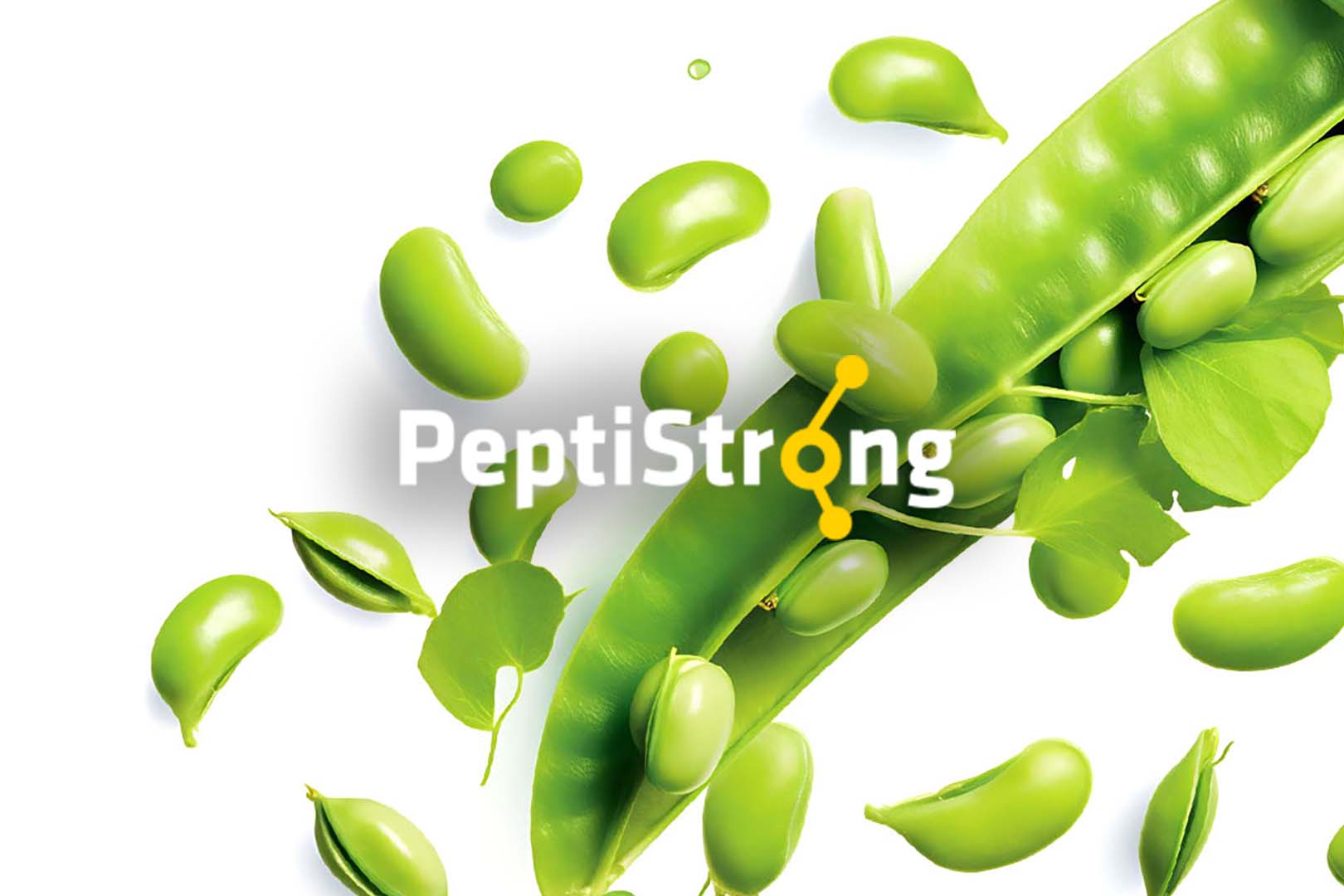 Peptistrong Gras