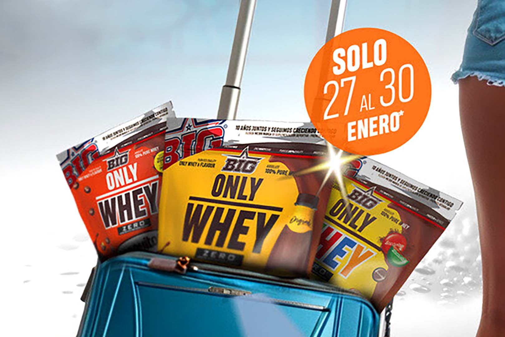 Big Travel Bags Only Whey