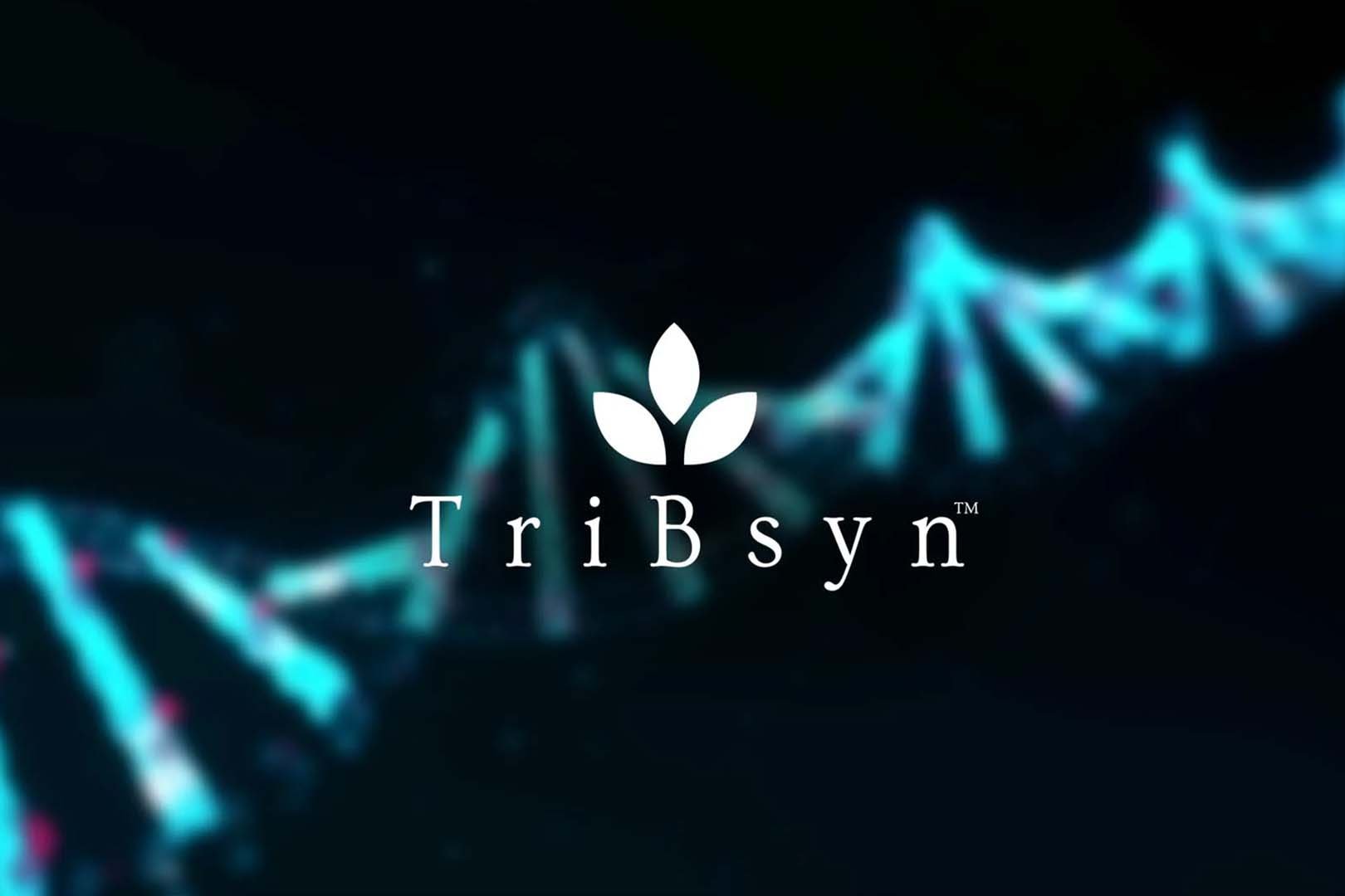 Tribsyn Clinical Study