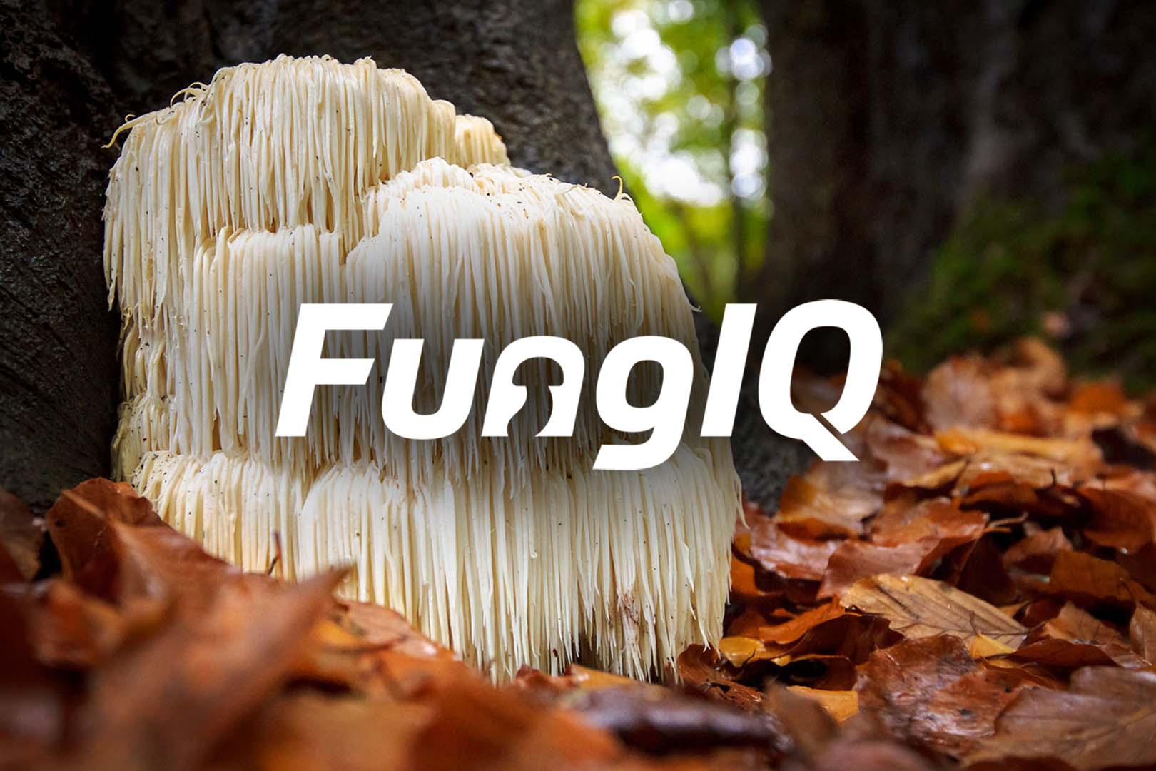 Nuliv Science Introduces Fungiq