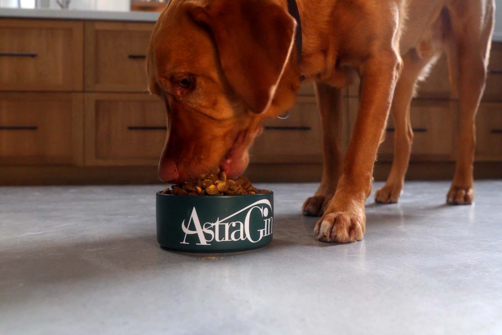 Nuliv Science Pushes Into Pet Supplements